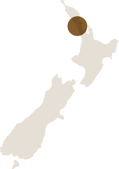 Structen - Nz Map