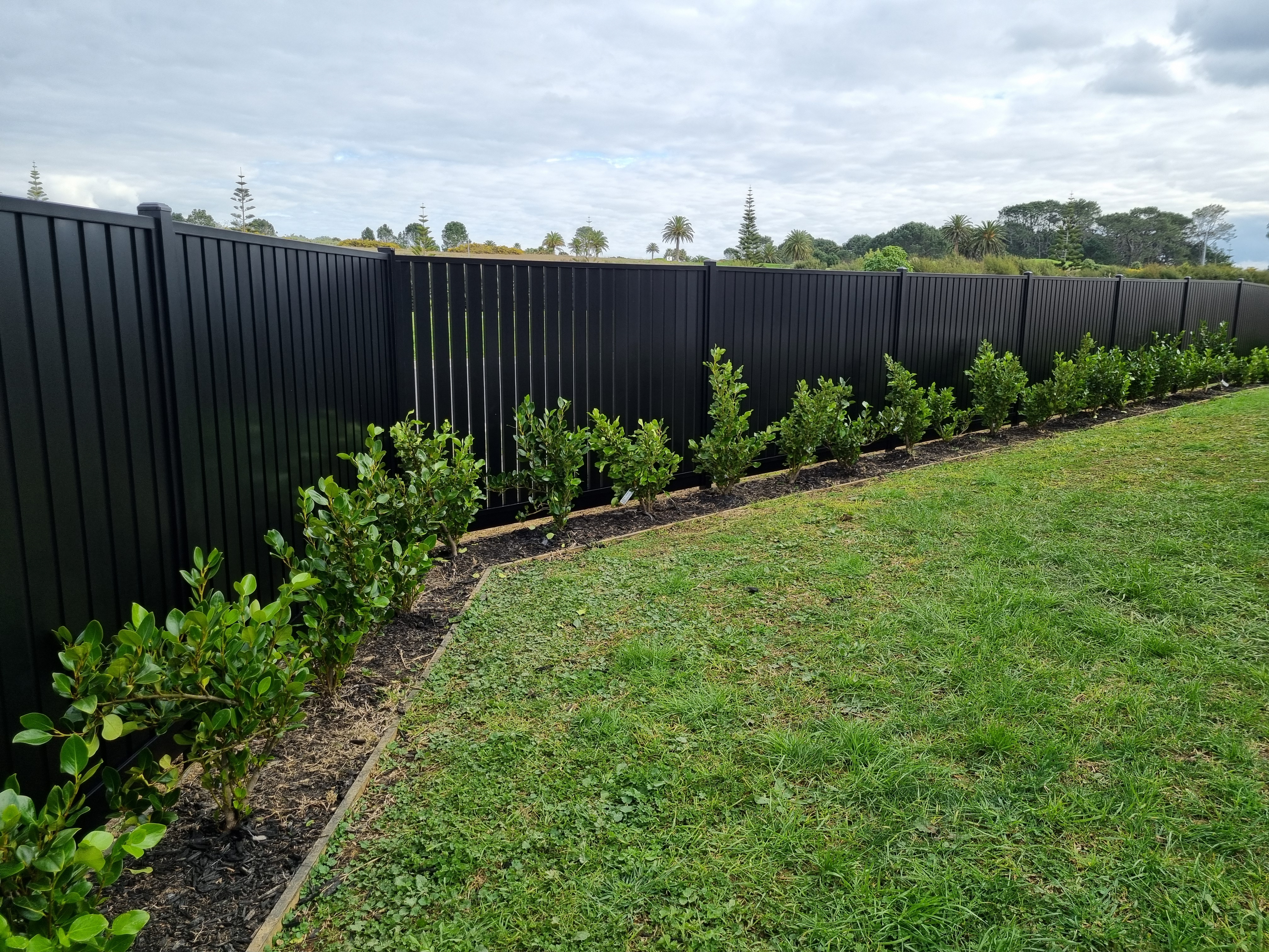 Pool Fencing